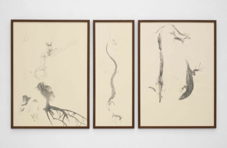 Interstizi e collisioni, trittico - 2025- 136x72cm - grafite su carta, cornici in noce, vetro museale. Ph.Mattia Mognetti copia