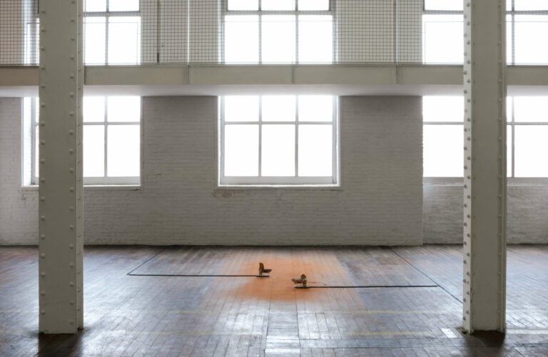 Karesansui, collettivo damp, Fabra i Coats, Barcelona, 2022, ph. collettivo damp
