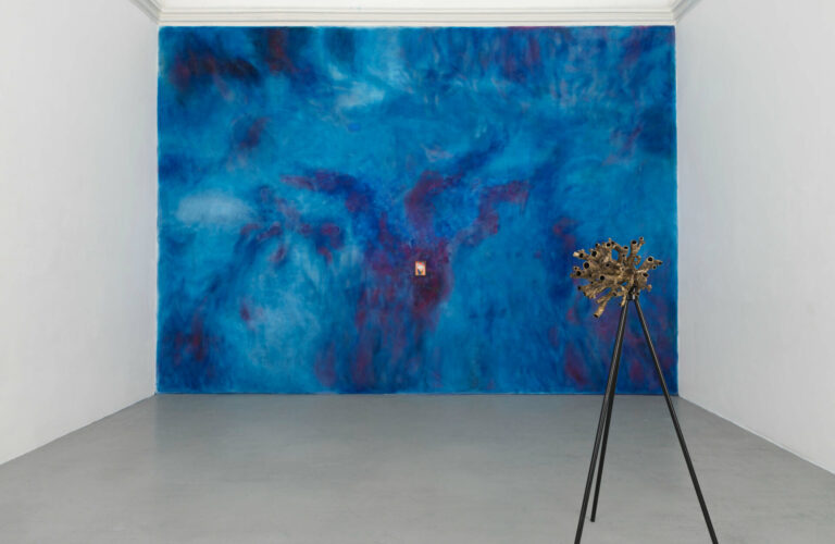 Veronica Bisesti_Dove brulica l_altrove_Exhibition view Galleria Alfonso Artiaco.jpg_ph Grafiluce